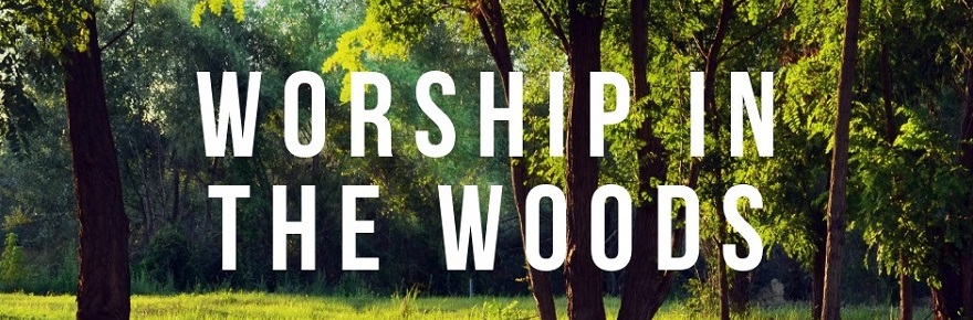 Worship in the Woods with Worshipping Friends : 7 Aug, Newquay