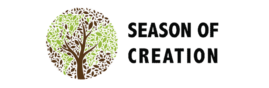 Pope Francis invites us to join the Season of Creation