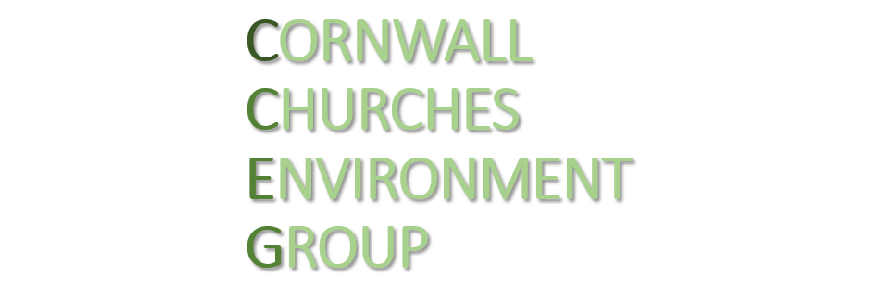 Cornwall Churches Environment Group Explore Creation