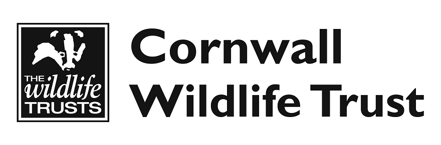 A focus on the State of Nature in Cornwall