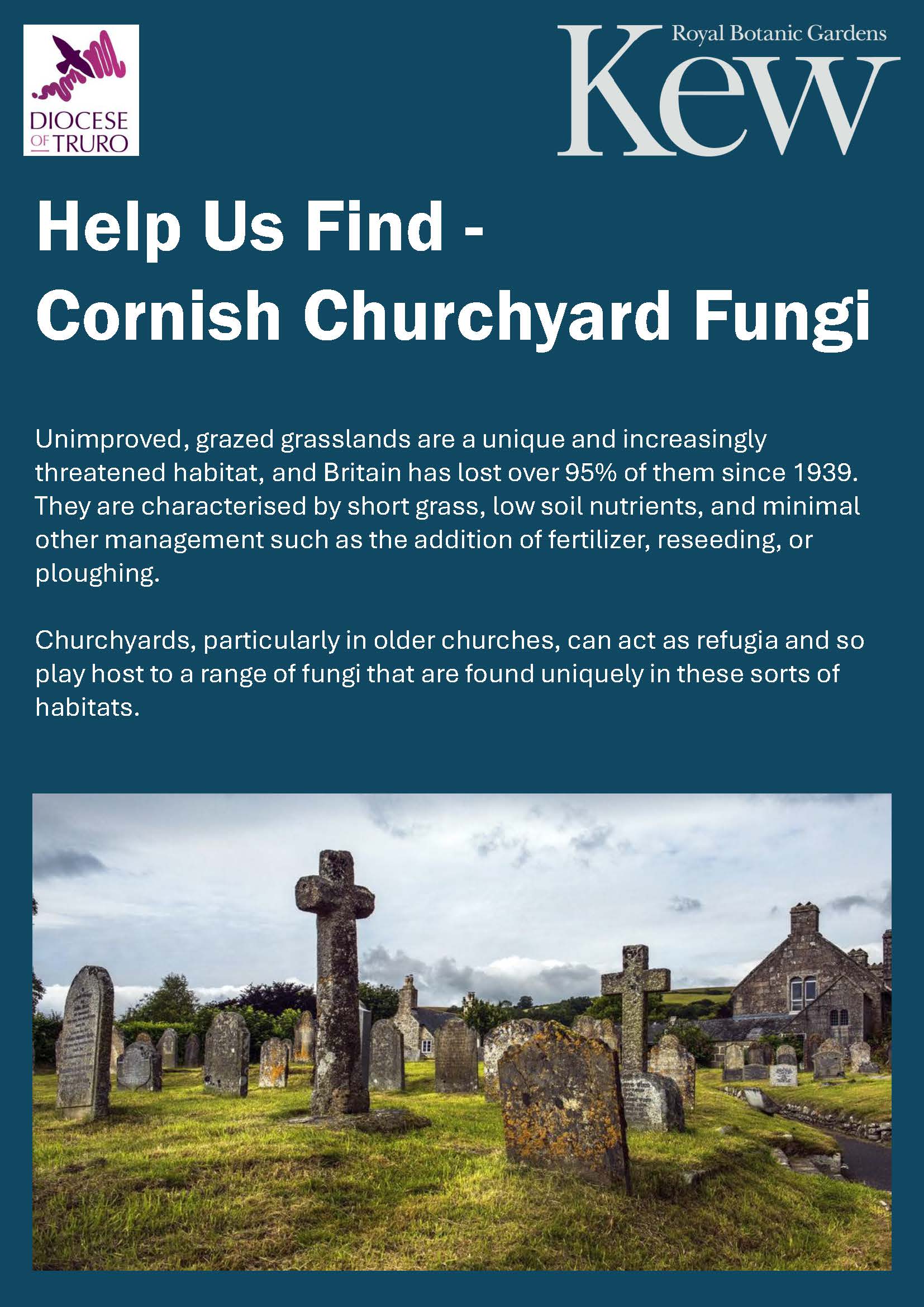 Churchyard Fungi Page 1