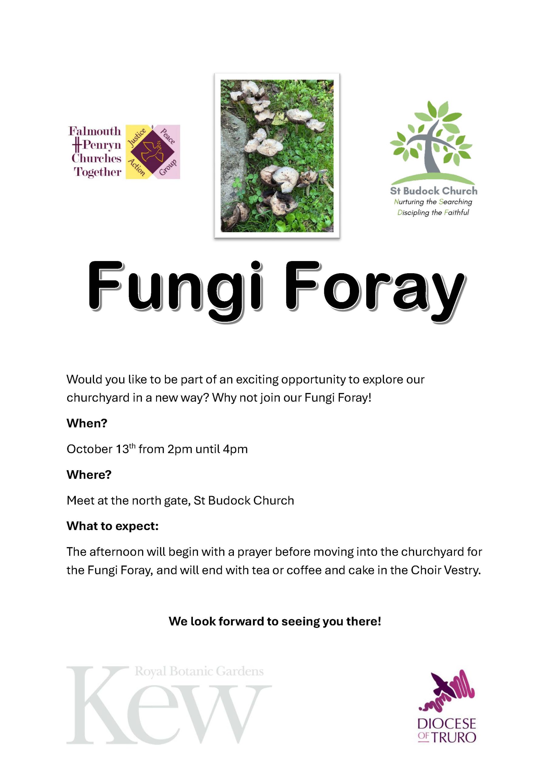 Fungi Foray