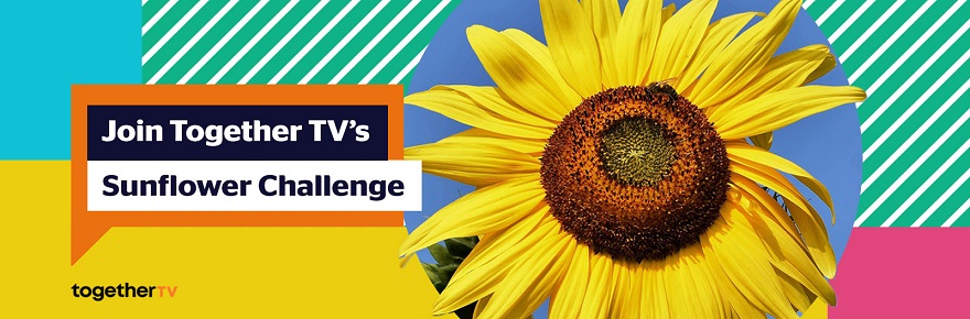 Join Together TV’s Sunflower Challenge