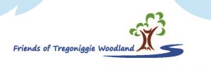 Tregoniggie Woodland Fair 2024 : 4 May, Falmouth
