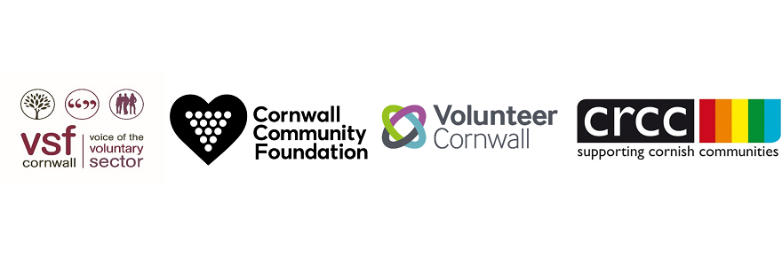 Cornwall VCSE Infrastructure Alliance – Ideas/Recommendations Requested by 27 Nov