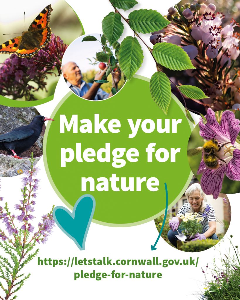 cc pledge for nature