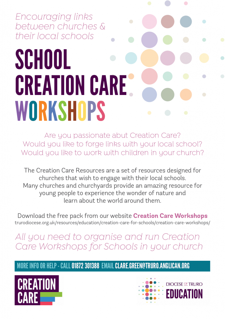 shcool creation care workshop